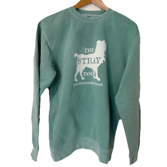 THE STRAY DOG New Buffalo, MI Women’s Crew Sweatshirt Sz M Seafoam Green - Picture 1 of 10